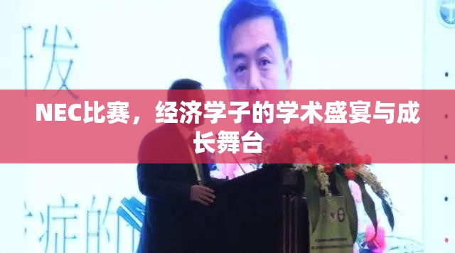 NEC比赛，经济学子的学术盛宴与成长舞台